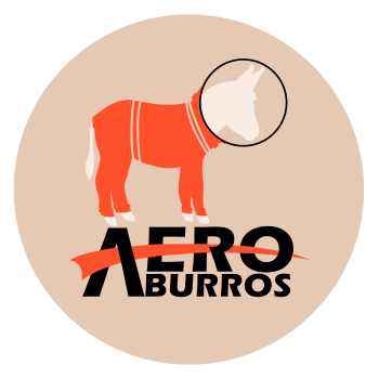 Logo Aeroburros